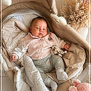 Augustine participe au concours pour gagner de l'argent avec cette photo : baby, baby_clothes, bassinet, blanket, clothing, comfort, cozy, cute, dried_flowers, face, head, indoor, infant, nursery, octopus_plush, portrait, resting, socks, soft_lighting, stuffed_toy
