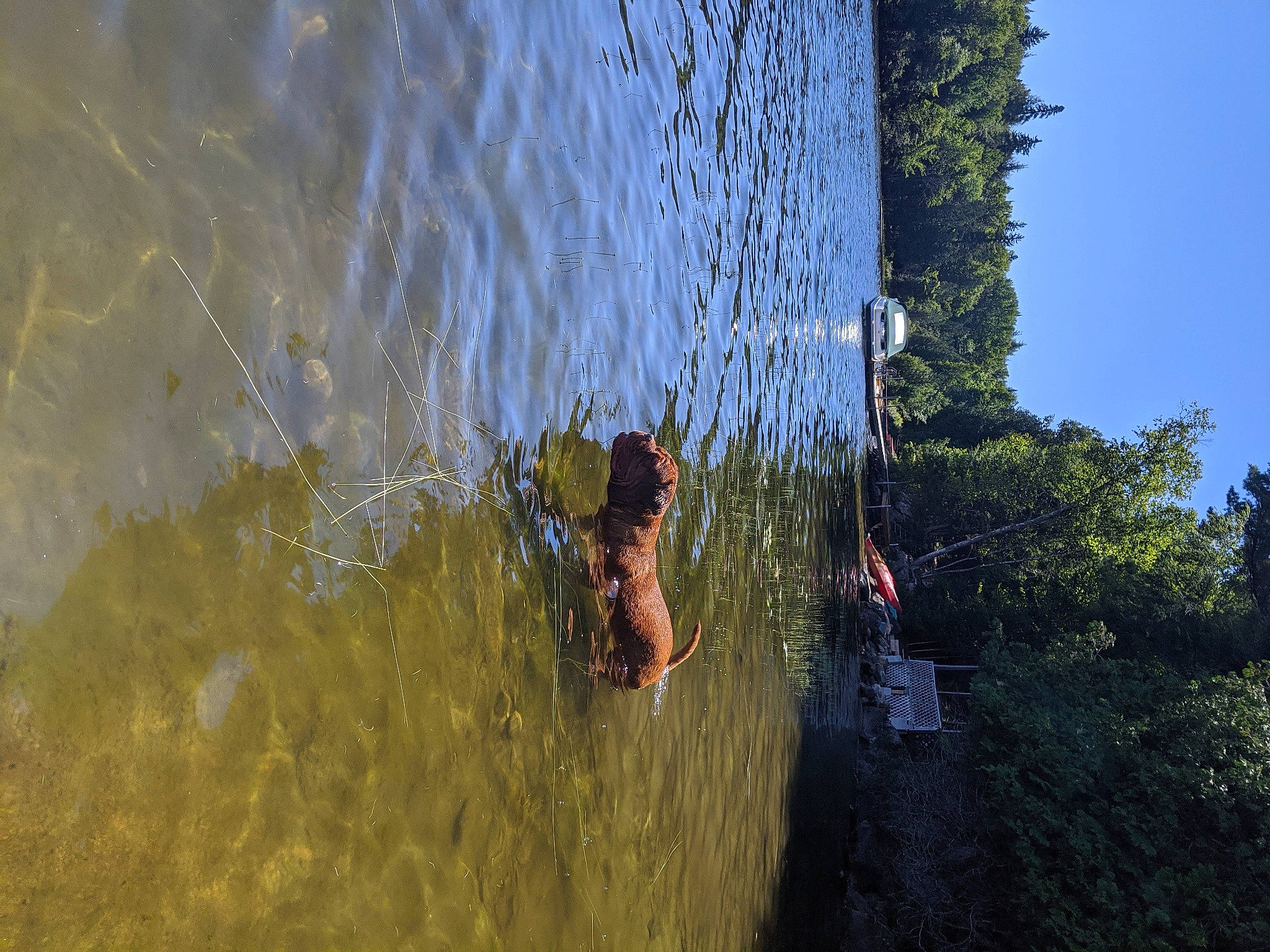 Babette participe au concours pour gagner de l'argent avec cette photo : formation, fun, geological_phenomenon, leisure, recreation, reflection, sunlight, tree, water, watercourse