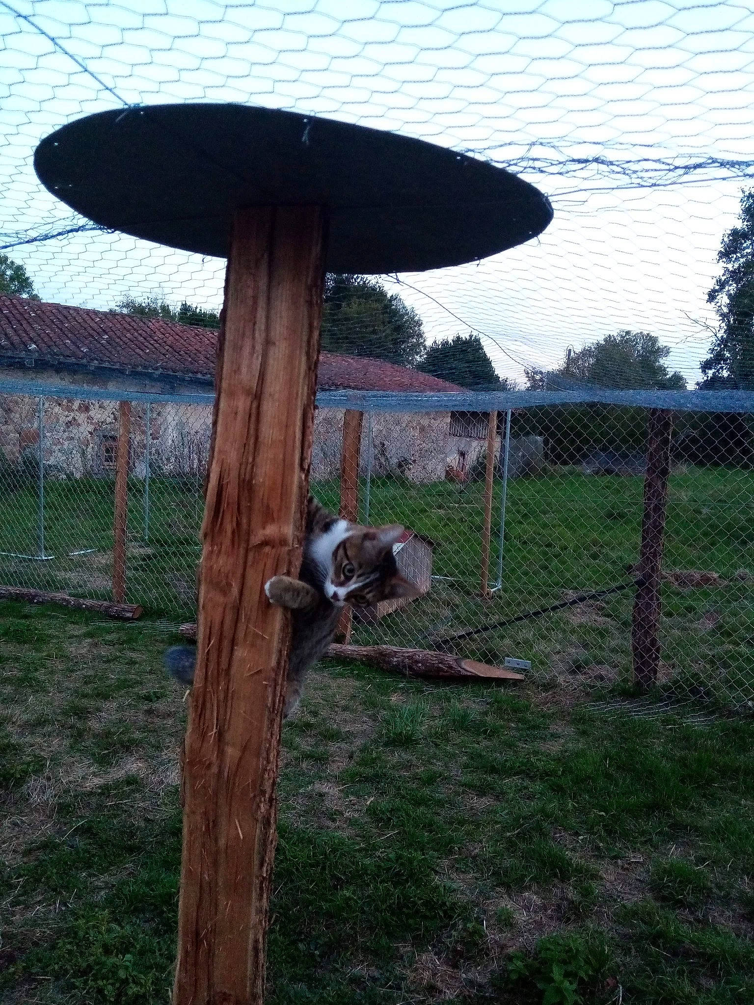 Fleur a rejoint le concours — aidez-le/la à gagner de superbes lots ! table