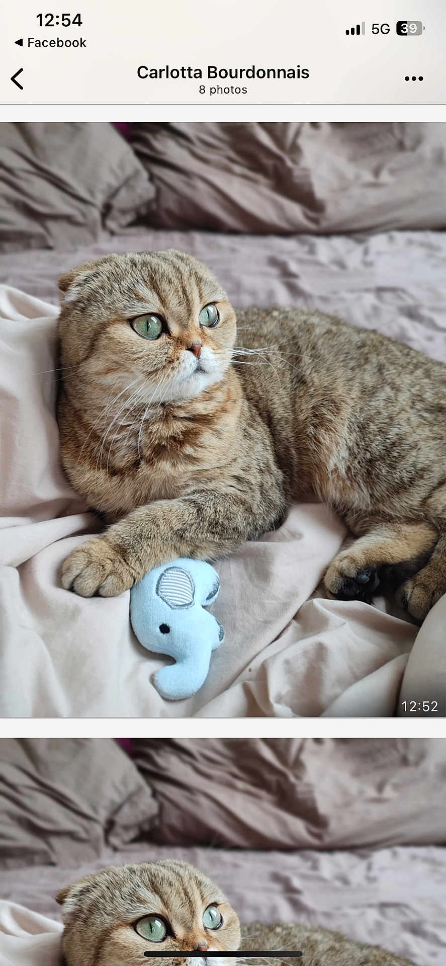 Rhéa