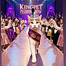 Nala participe au concours pour gagner de l'argent avec cette photo : audience, cat, celebration, competition, costume, crowd, crown, dress, event, fashion_show, feline, glamour, party, performance, purple_lighting, runway, sash, sparkle, stage, tuxedo