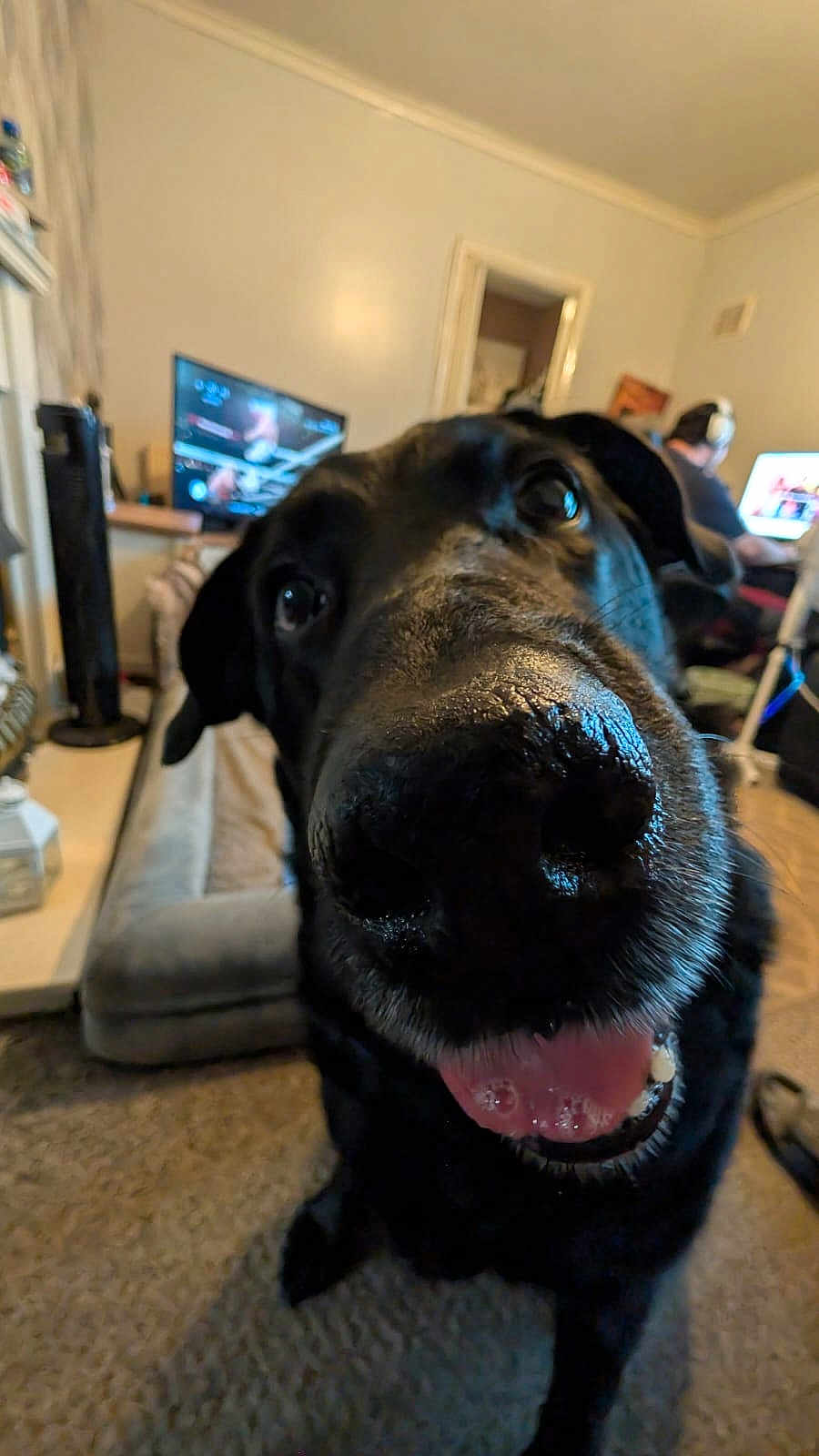 Kaia