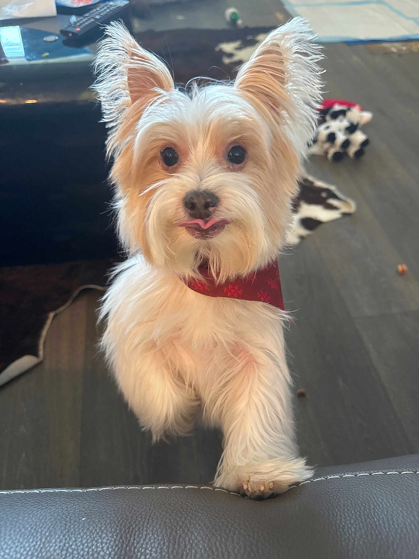 Einstein