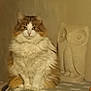 cat, fluffy, sitting, indoor, blanket, star_pattern, sculpture, owl_sculpture, feline, pet, animal, fur, whiskers, portrait, calm, domestic, brown, white, table, decor