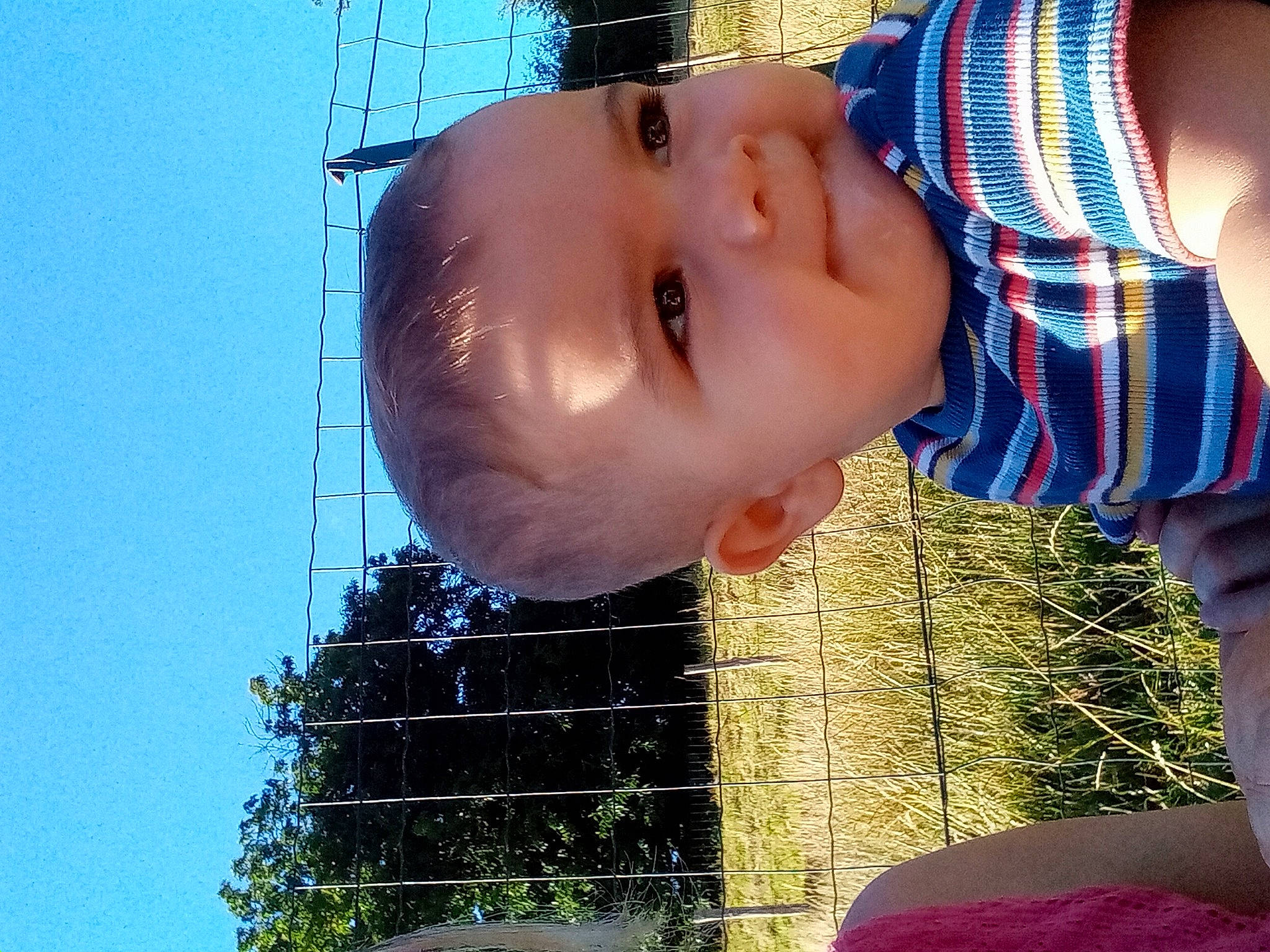 Andreas participe au concours pour gagner de l'argent avec cette photo : baby, baby_toddler_clothing, blue, child, chin, fun, grass, happy, leisure, light, lip, nose, people_in_nature, person, plant, skin, sky, smile, toddler, tree