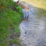 Cerise participe au concours pour gagner de l'argent avec cette photo :