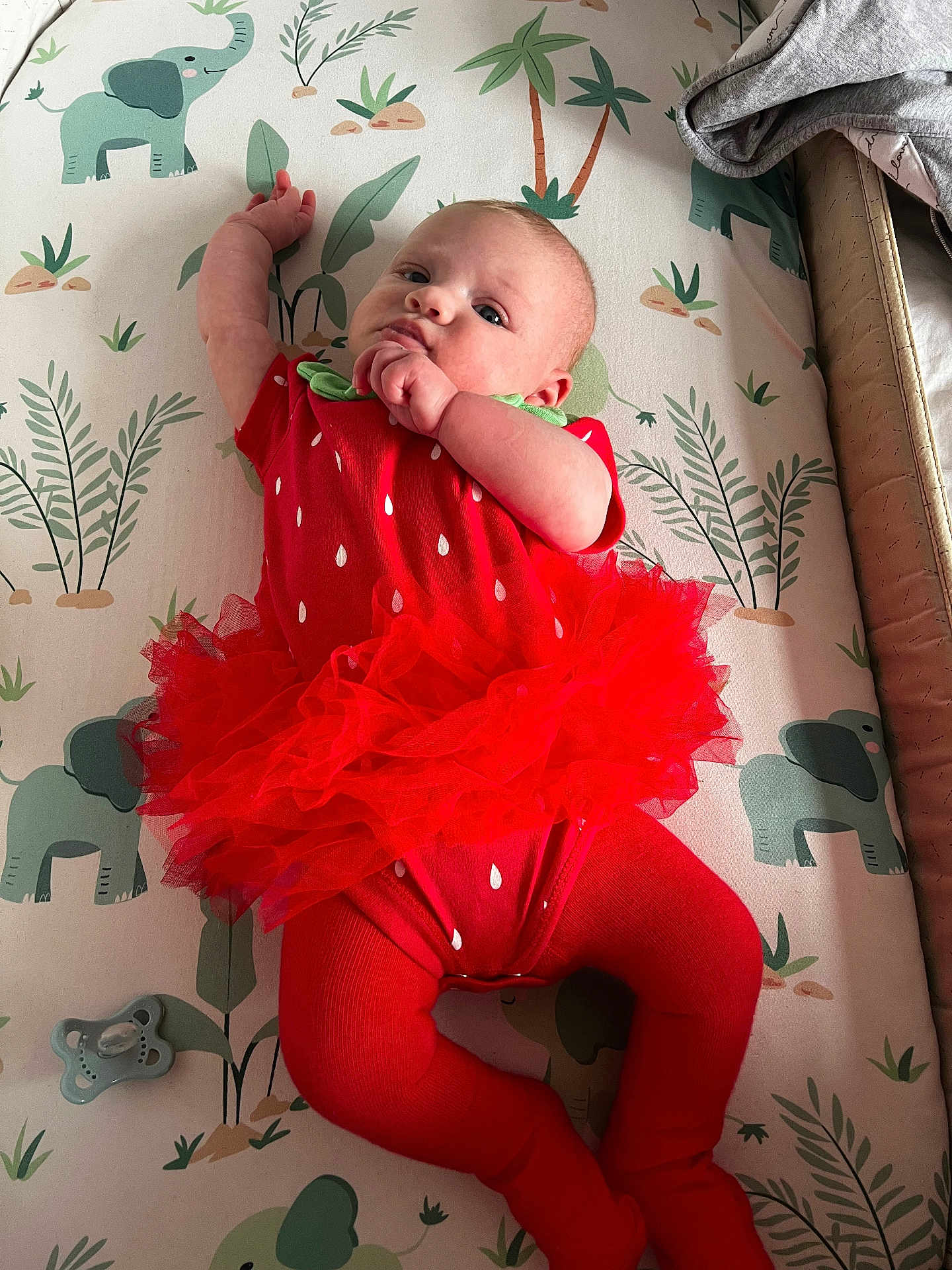 Charlotte joined the competition — help win amazing prizes! baby, infant, red_clothing, tutu, lying_down, elephant_pattern, mattress, pacifier, cute, child, toddler, soft_lighting, indoor, playful, baby_girl, face, hand, expression, fabric, blanket