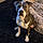 Brindle