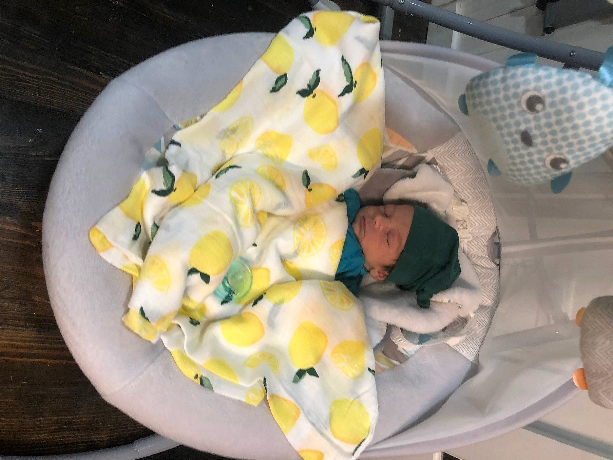 Tuff is registered to the contest to win money with this photo: baby_products, cake_decorating, comfort_food, cuisine, culinary_art, dessert, dish, finger_food, fondant, food, headgear, headwear, icing, ingredient, pattern, person, personal_protective_equipment, recipe, stuffed_toy, sugar_paste