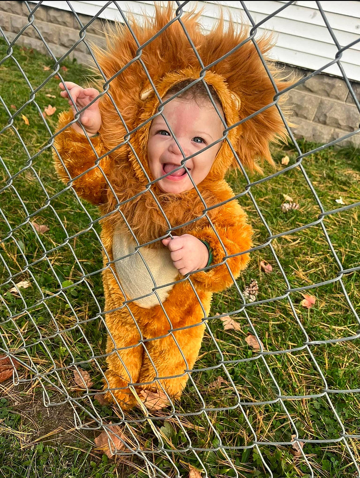 Jayceon is registered to the contest to win money with this photo: chain_link_fencing, child, face, fawn, fence, fun, fur, grass, grass_family, happy, landscape, leisure, mesh, net, pattern, people_in_nature, person, plant, portrait_photography, smile