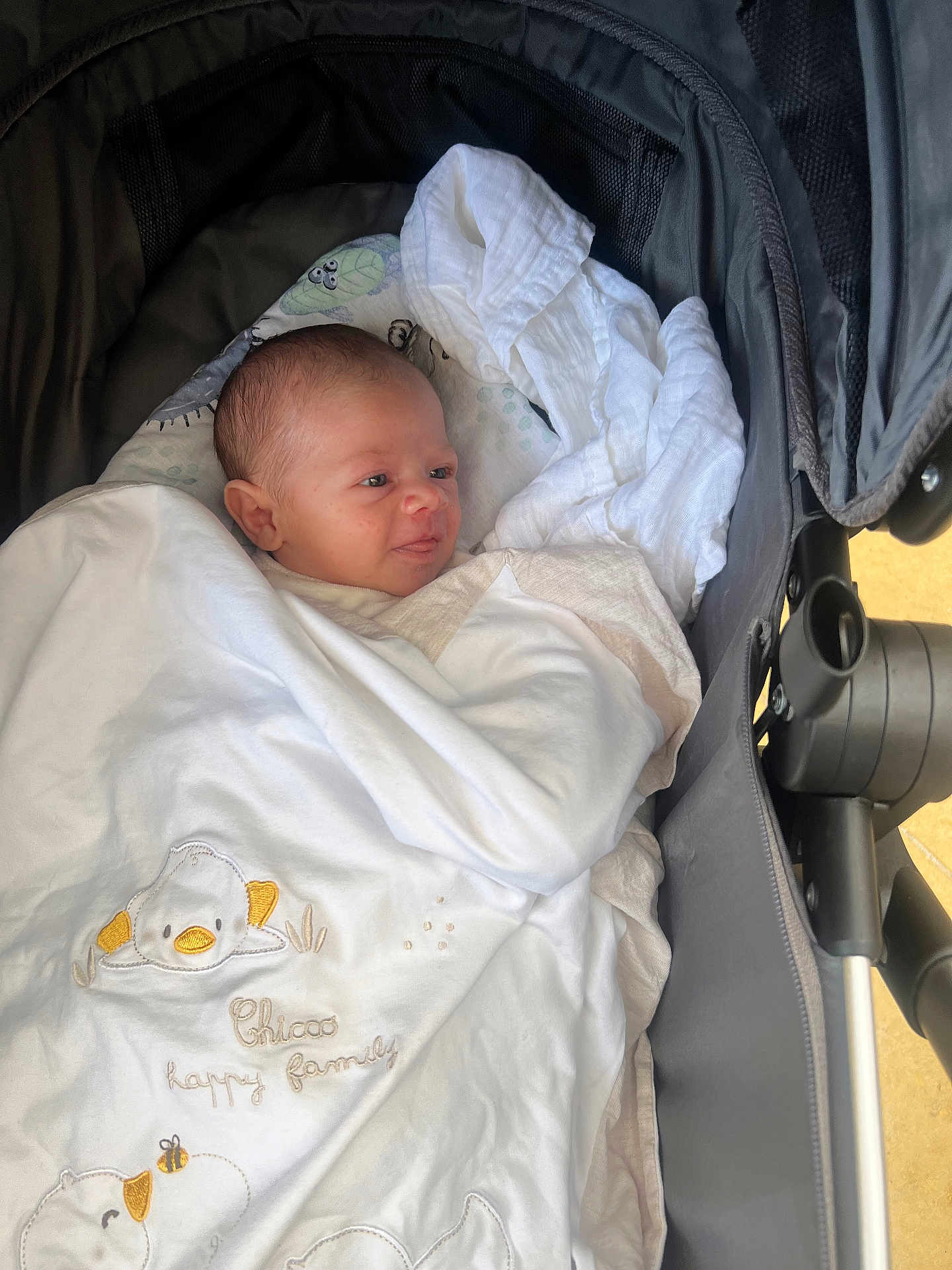 Luis participe au concours pour gagner de l'argent avec cette photo : baby, blanket, stroller, infant, face, cozy, white, cute, child, embroidery, fabric, comfort, smile, wrapped, newborn, clothing, person, indoors, soft, head