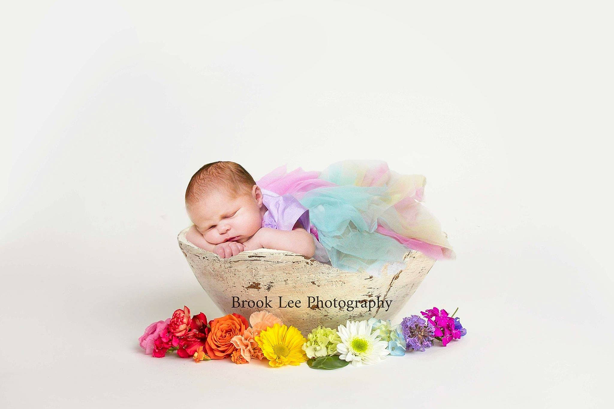 Emilee joined the competition — help win amazing prizes! baby, child, cut_flowers, flower, font, person, petal, photography, pink, plant, sitting, stock_photography, toddler