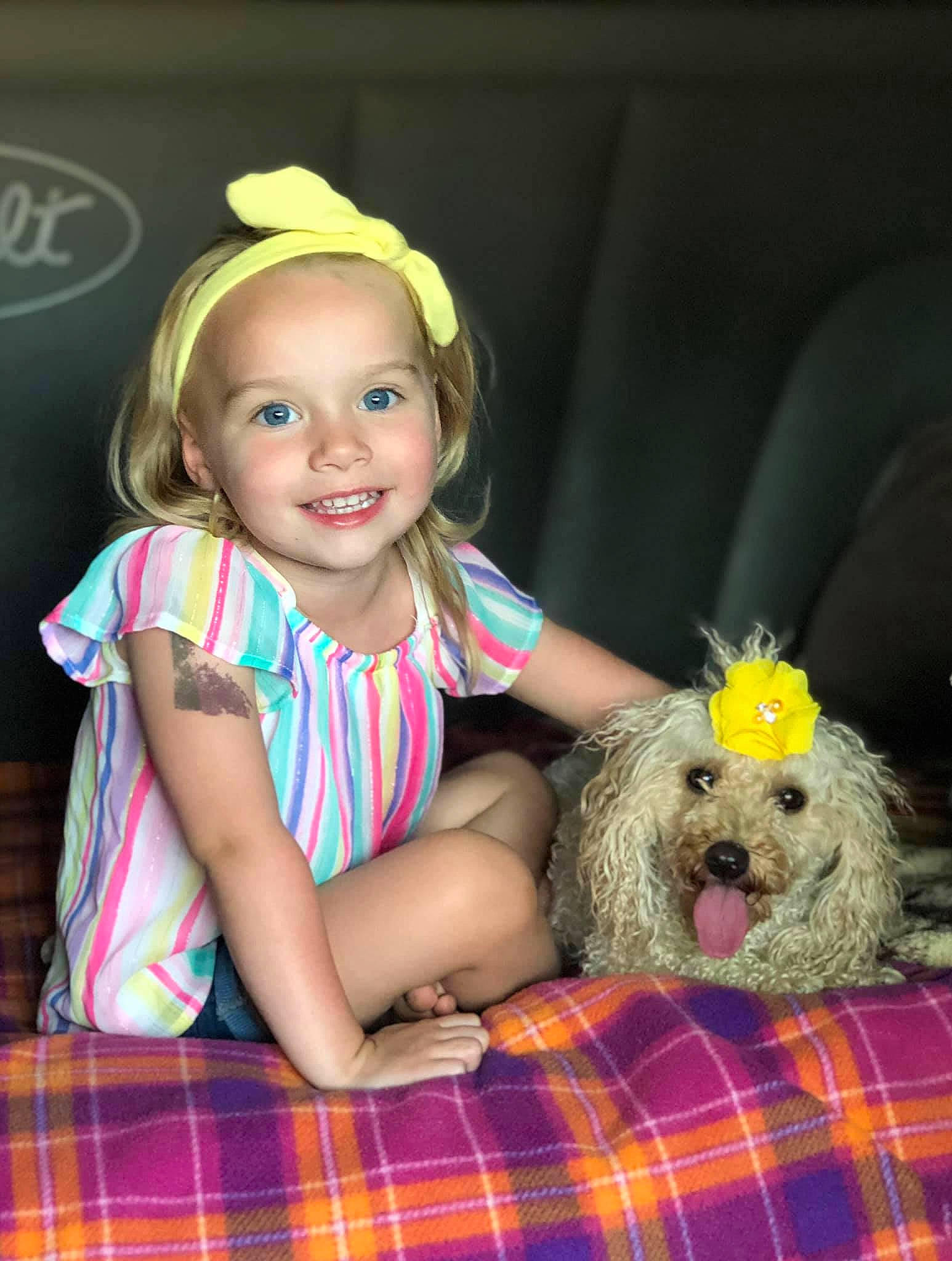 Charley joined the competition — help win amazing prizes! canidae, carnivore, child, companion_dog, dog, dog_breed, headgear, joy, labradoodle, pattern, person, plaid, play, poodle_crossbreed, skin, smile, toddler, toy_poodle