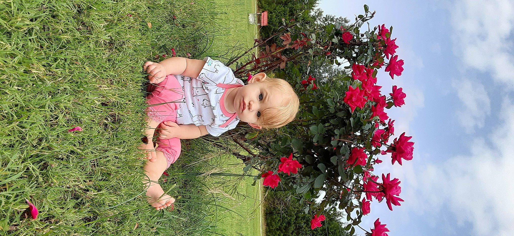 Azlynn is registered to the contest to win money with this photo: botany, child, floral_design, flower, grass, perennial_plant, person, petal, pink, pink_family, plant, shrub, spring, toddler, tree, wildflower