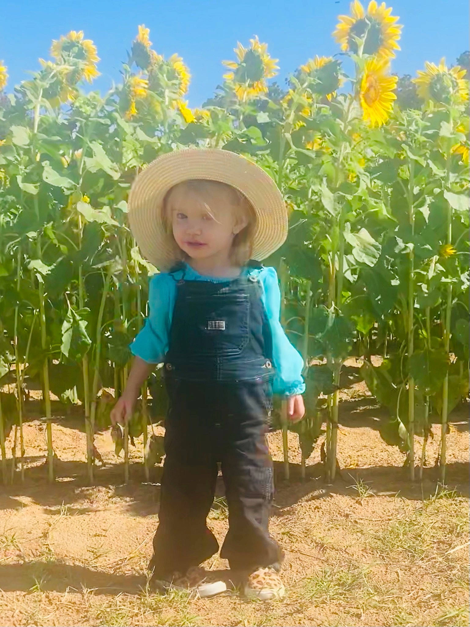 Azlynn joined the competition — help win amazing prizes! agriculture, cowboy_hat, farmer, field, flower, flowering_plant, grass, grass_family, grassland, hat, leaf, meadow, people_in_nature, person, plant, plantation, rural_area, sky, smile, sun_hat