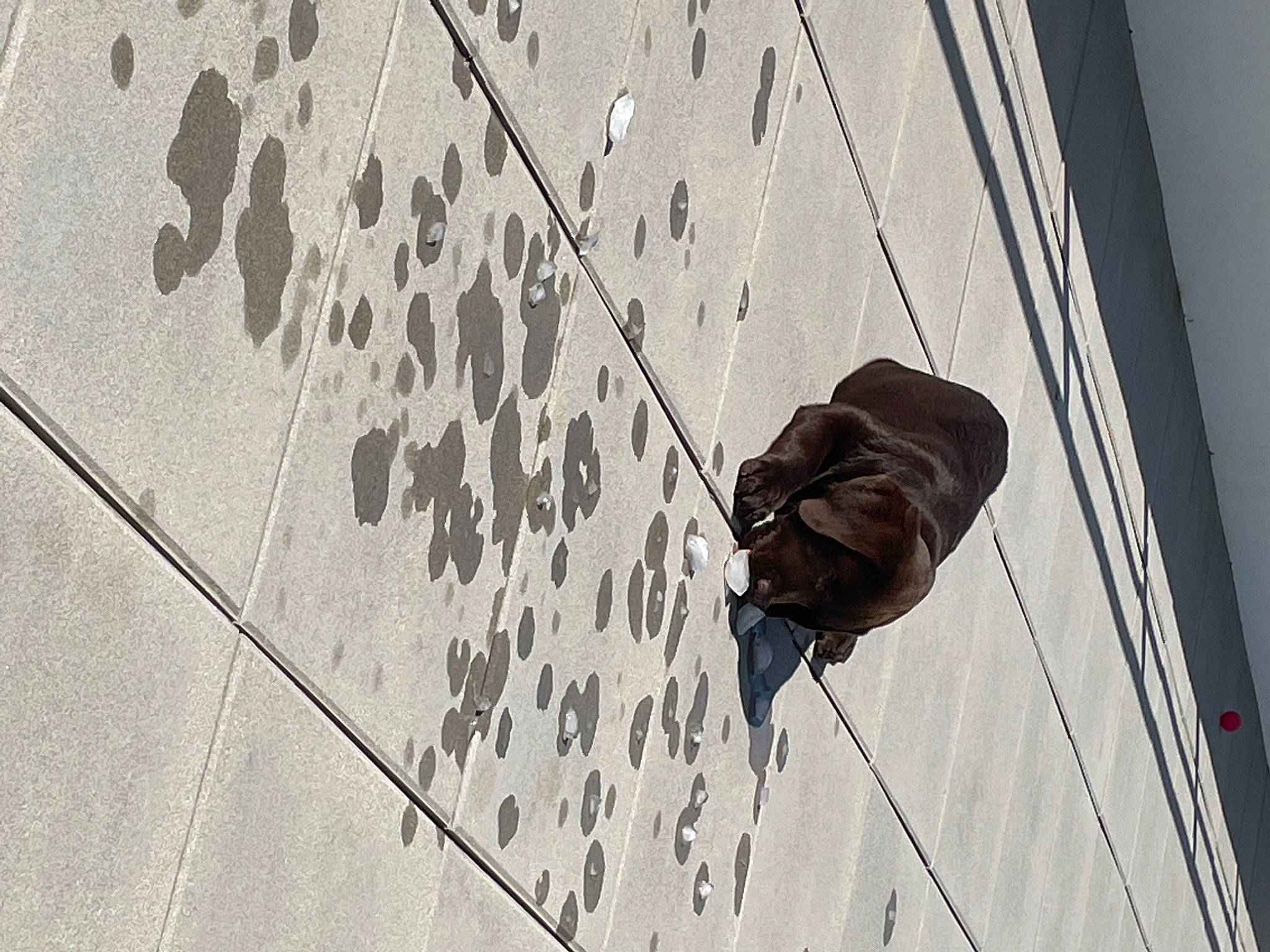 Shaïne participe au concours pour gagner de l'argent avec cette photo : art, brick, concrete, door, facade, flooring, grey, human_leg, material_property, metal, monochrome, pattern, road_surface, shadow, sidewalk, street_light, tints_and_shades, urban_area, wall, wood