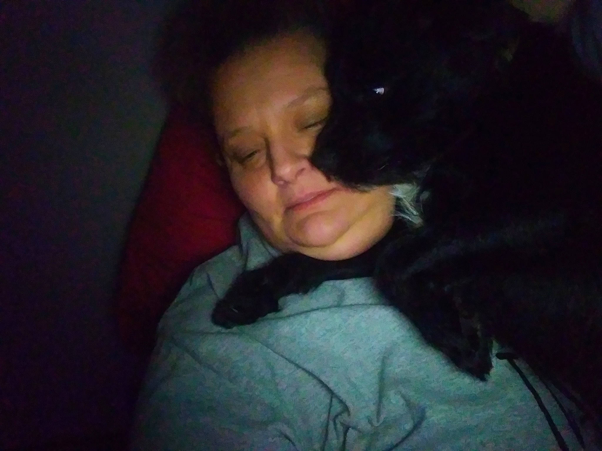 Franky is registered to the contest to win money with this photo: black_hair, carnivore, comfort, companion_dog, darkness, dog_breed, ear, eyelash, flash_photography, fun, fur, guard_dog, jaw, midnight, room, selfie, sitting, sporting_group, t_shirt, whiskers