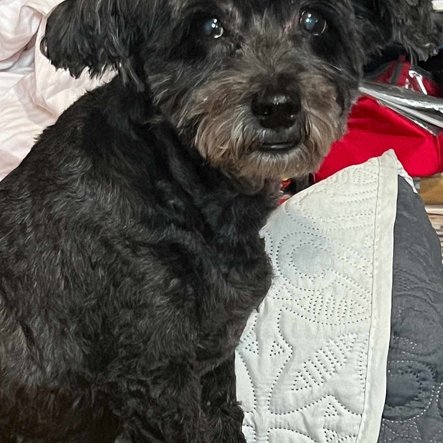 Zoey