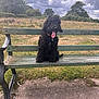 dog, black_dog, bench, park, grass, cloudy_sky, outdoor, pet, tongue_out, happy, collar, nature, fence, field, trees, canine, animal, daytime, fur, sitting