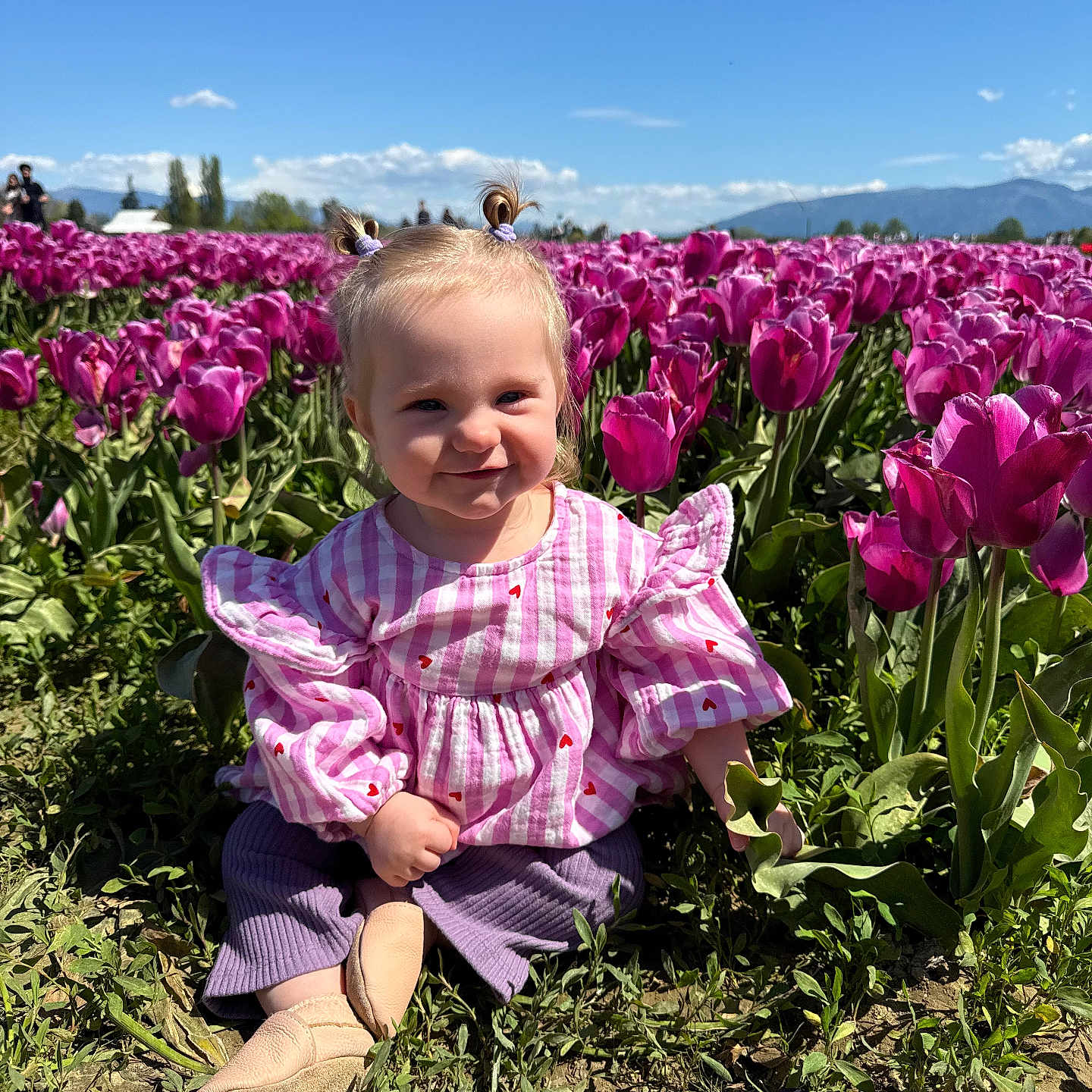 Gwendolyn joined the competition — help win amazing prizes! toddler, child, flower_field, tulips, pink_flowers, outdoor, nature, sunny_day, grass, greenery, smiling, cute, pigtails, purple_pants, striped_shirt, baby_shoes, plants, blue_sky, mountains, happy