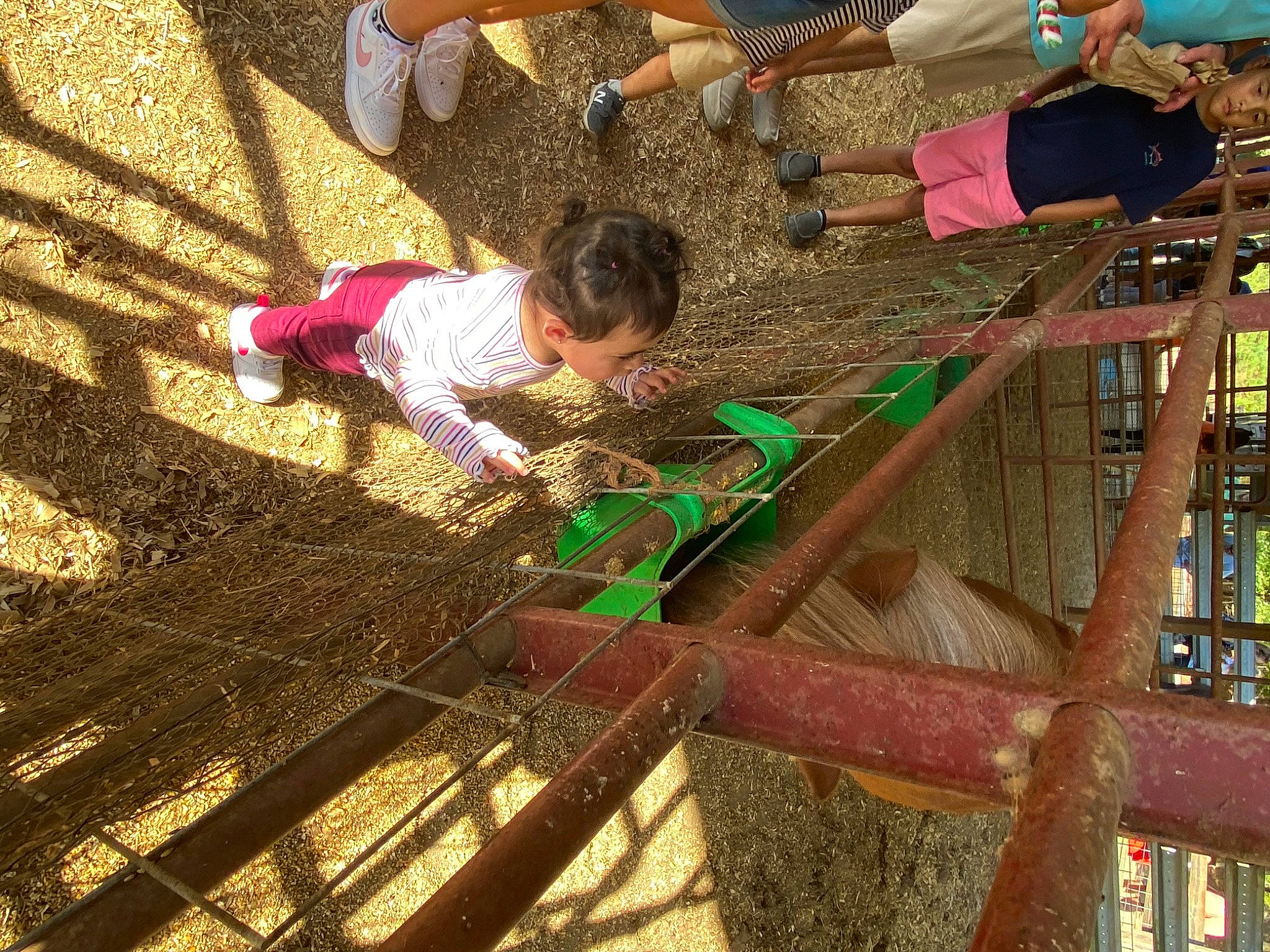 Katherine joined the competition — help win amazing prizes! baby, child, city, fun, grass, headwear, leisure, person, photograph, play, recreation, soil, toddler, water, wood
