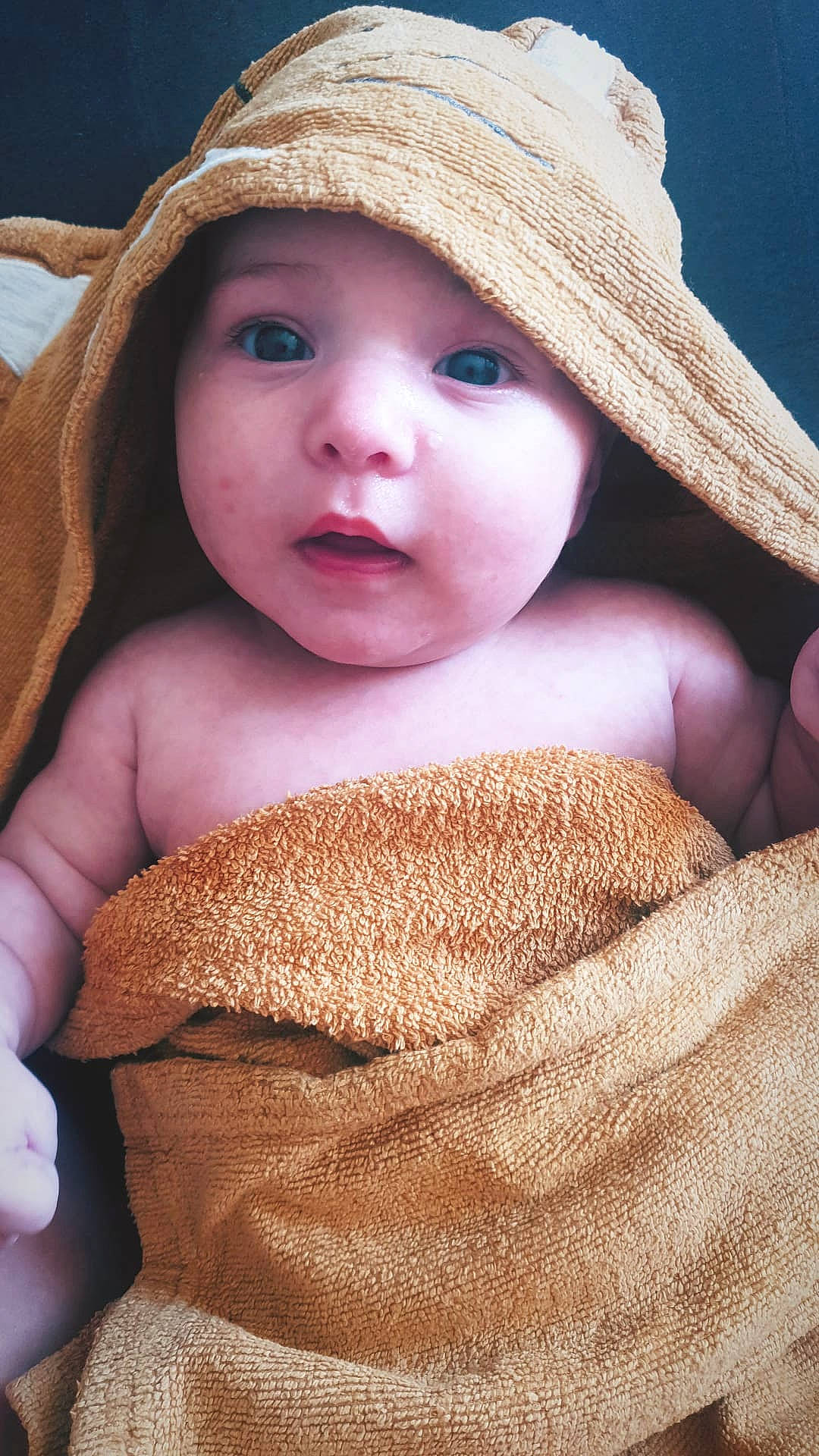 Ana participe au concours pour gagner de l'argent avec cette photo : cap, cheek, chin, eye, eyebrow, eyelash, face, facial_expression, hairstyle, hat, headwear, iris, lip, neck, nose, organ, outerwear, person, skin, sleeve