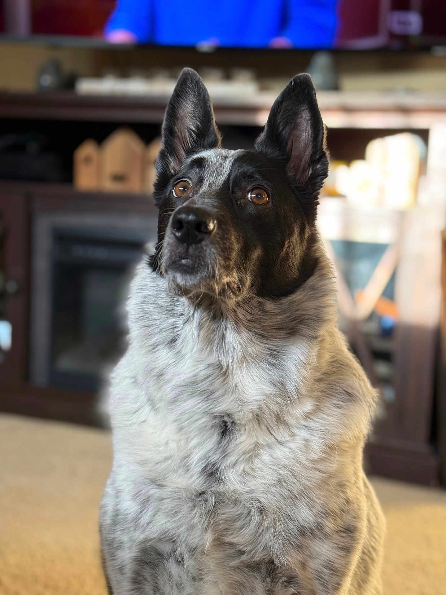 Pepper