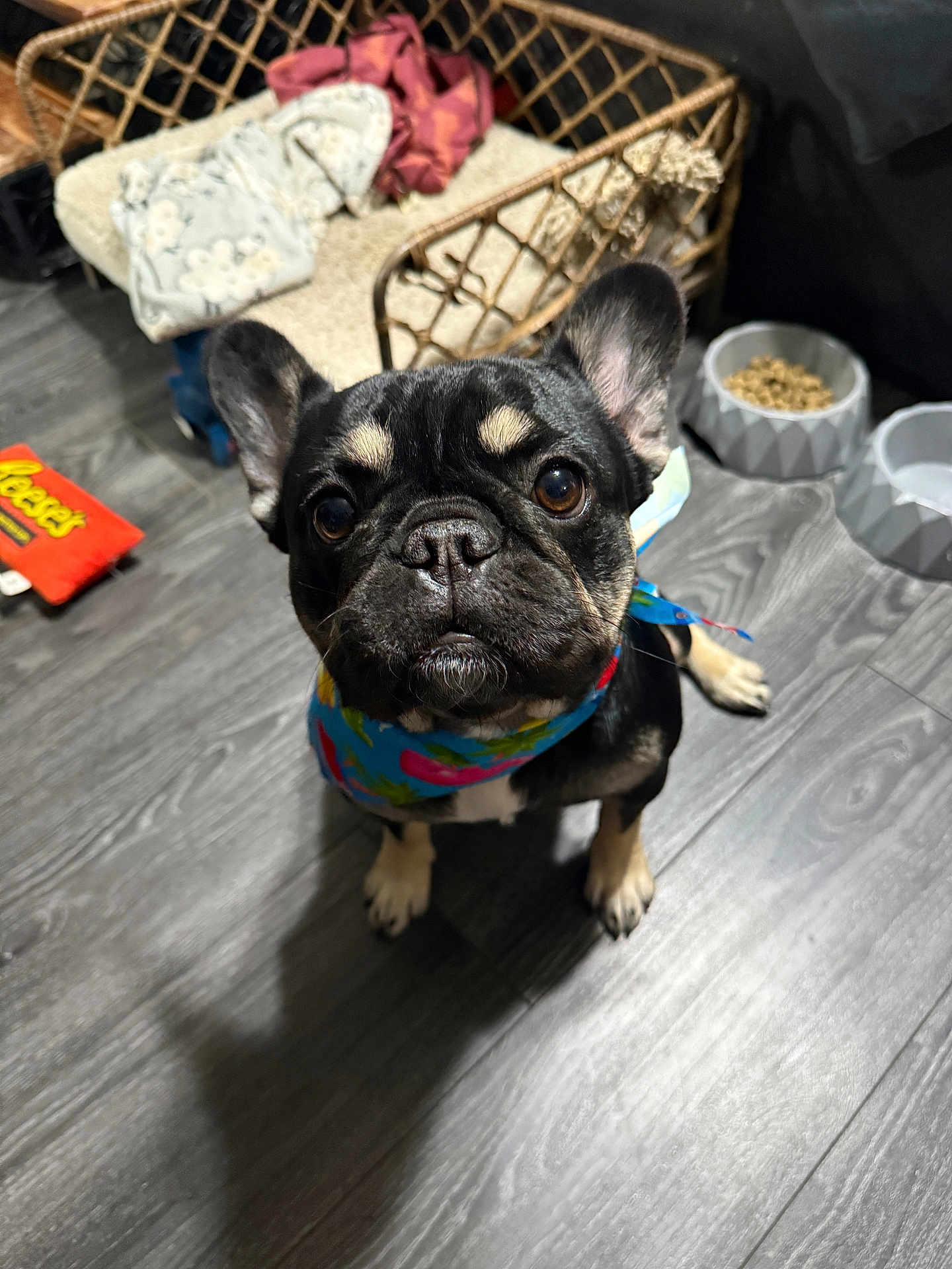 Luna