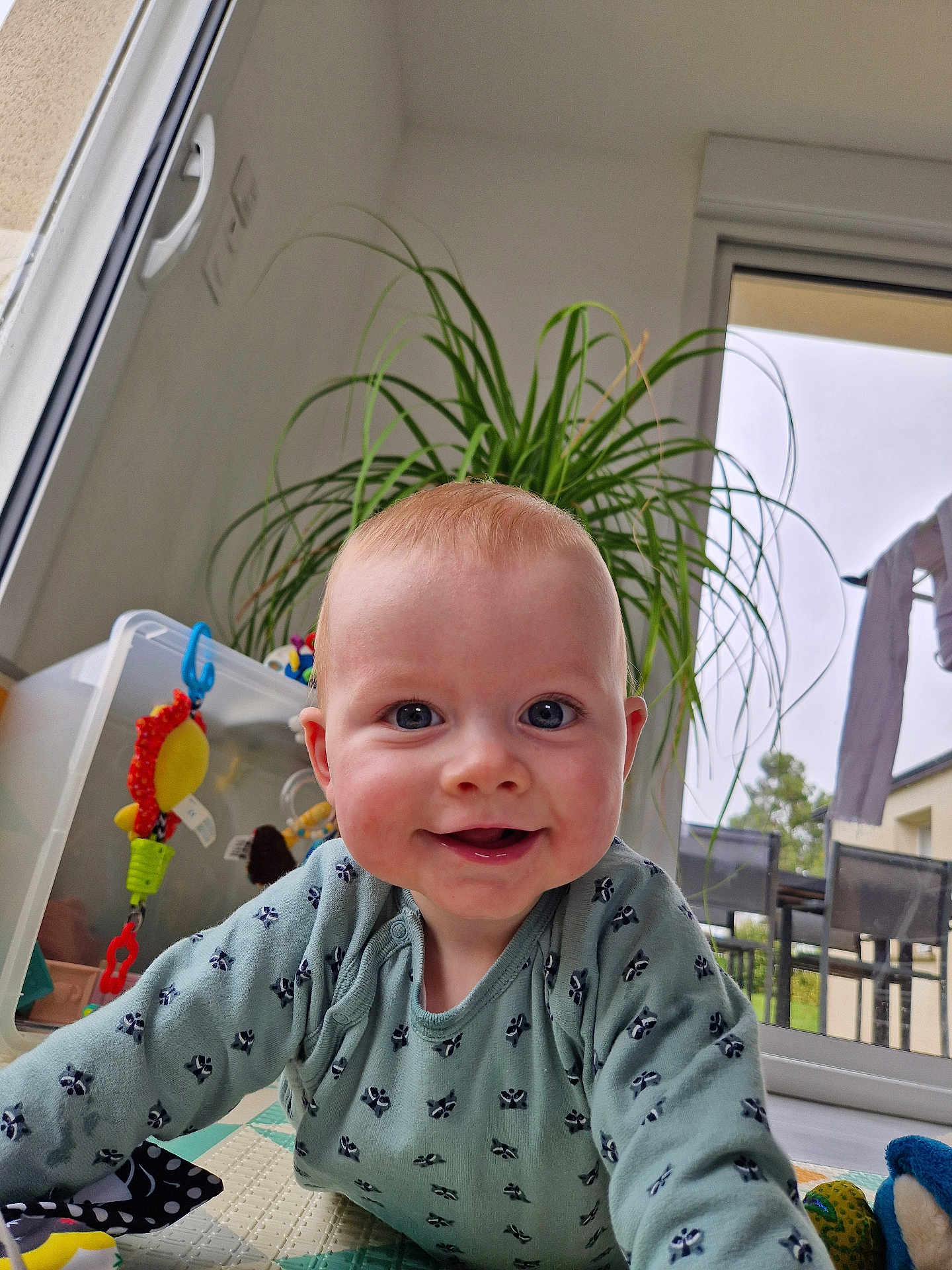 Noé a rejoint le concours — aidez-le/la à gagner de superbes lots ! baby, background, blue_eyes, child, crawling, curtains, daylight, face, floor_mat, furniture, happy, home, indoor, infant, onesie, person, plant, smiling, toy, window