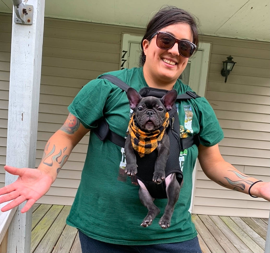 Bandit joined the competition — help win amazing prizes! bag, carnivore, companion_dog, dog, dog_breed, dog_clothes, dog_supply, electric_blue, eyewear, fashion_accessory, fawn, goggles, pattern, personal_protective_equipment, smile, sunglasses, t_shirt, toy_dog, vision_care, working_animal