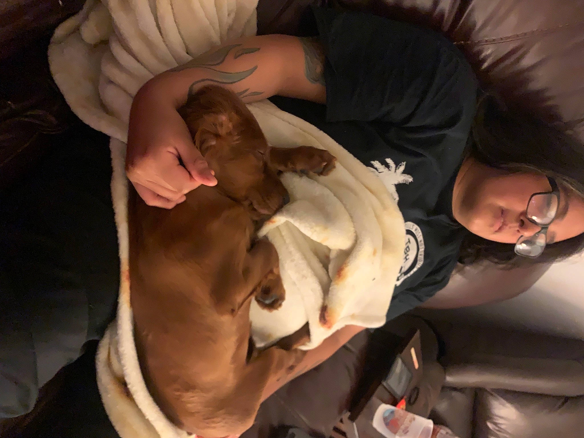 Finnegan is registered to the contest to win money with this photo: abdomen, baby, canidae, chest, child, comfort, dog_breed, ear, event, fawn, flesh, fun, gesture, happy, human_body, mouth, room, thigh, toddler, trunk