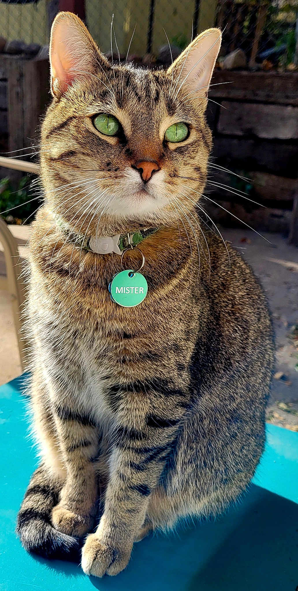 Mister