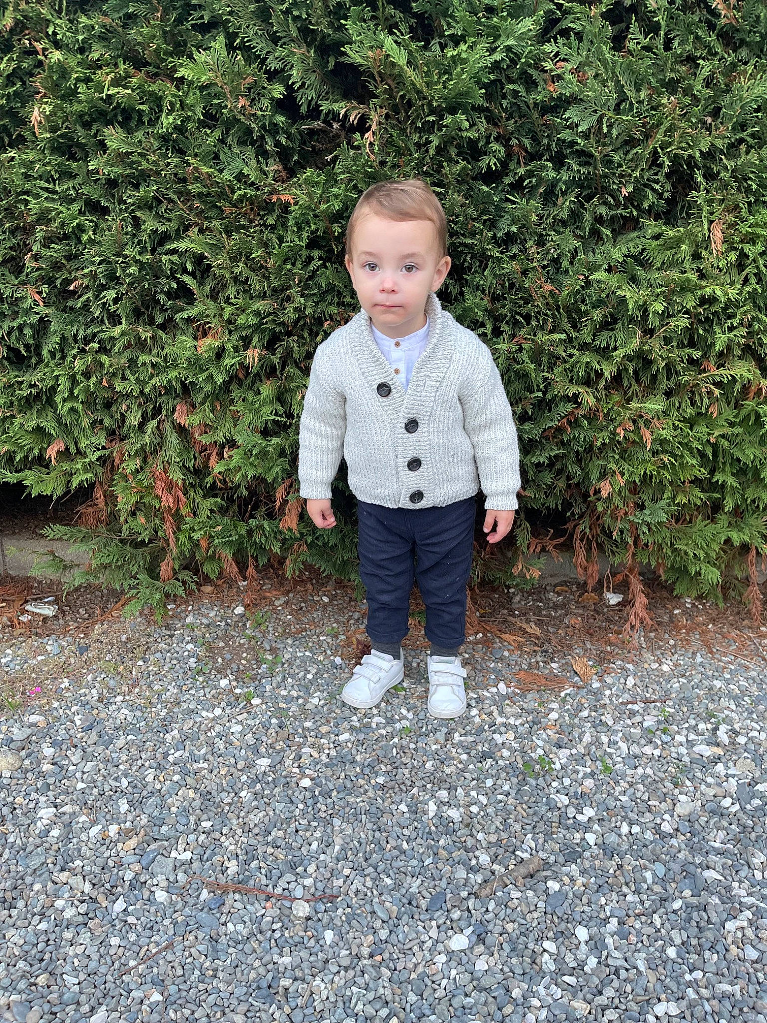 Leán a rejoint le concours — aidez-le/la à gagner de superbes lots ! asphalt, baby_toddler_clothing, child, cobblestone, denim, flooring, garden, grass, groundcover, pattern, people_in_nature, person, plant, road_surface, shrub, sidewalk, sleeve, soil, toddler, tree
