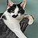 Mr.pickles