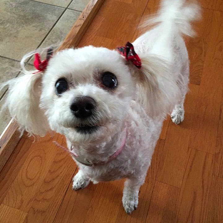 Lulu joined the competition — help win amazing prizes!