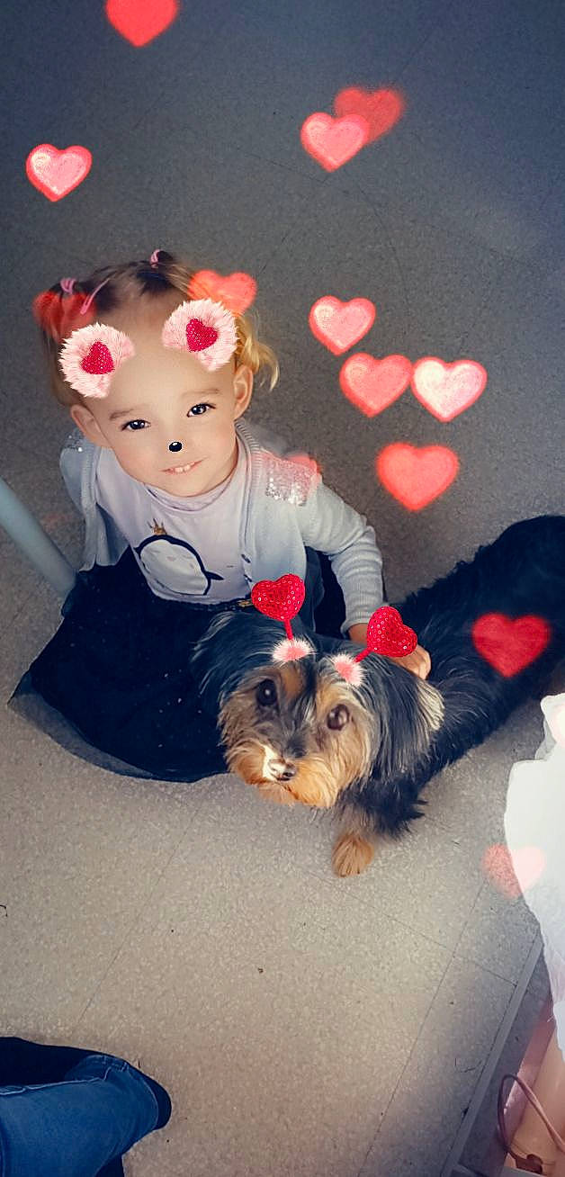 Lyna a rejoint le concours — aidez-le/la à gagner de superbes lots ! baby_toddler_clothing, carnivore, child, companion_dog, dog, dog_breed, dog_clothes, dog_supply, fawn, fur, hairstyle, happy, person, small_terrier, sporting_group, terrier, toddler, toy, toy_dog, vertebrate