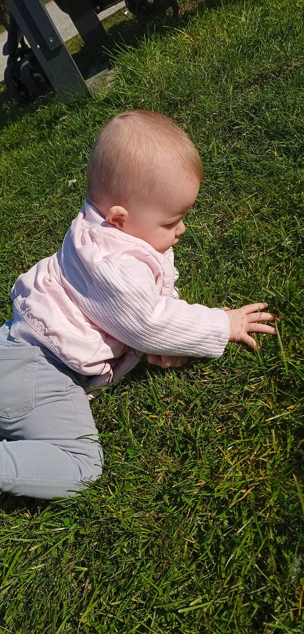 Lea a rejoint le concours — aidez-le/la à gagner de superbes lots ! baby, baby_toddler_clothing, child, crawling, flooring, fun, garden, gesture, grass, grass_family, grassland, groundcover, happy, head, lawn, meadow, people_in_nature, person, plant, sitting