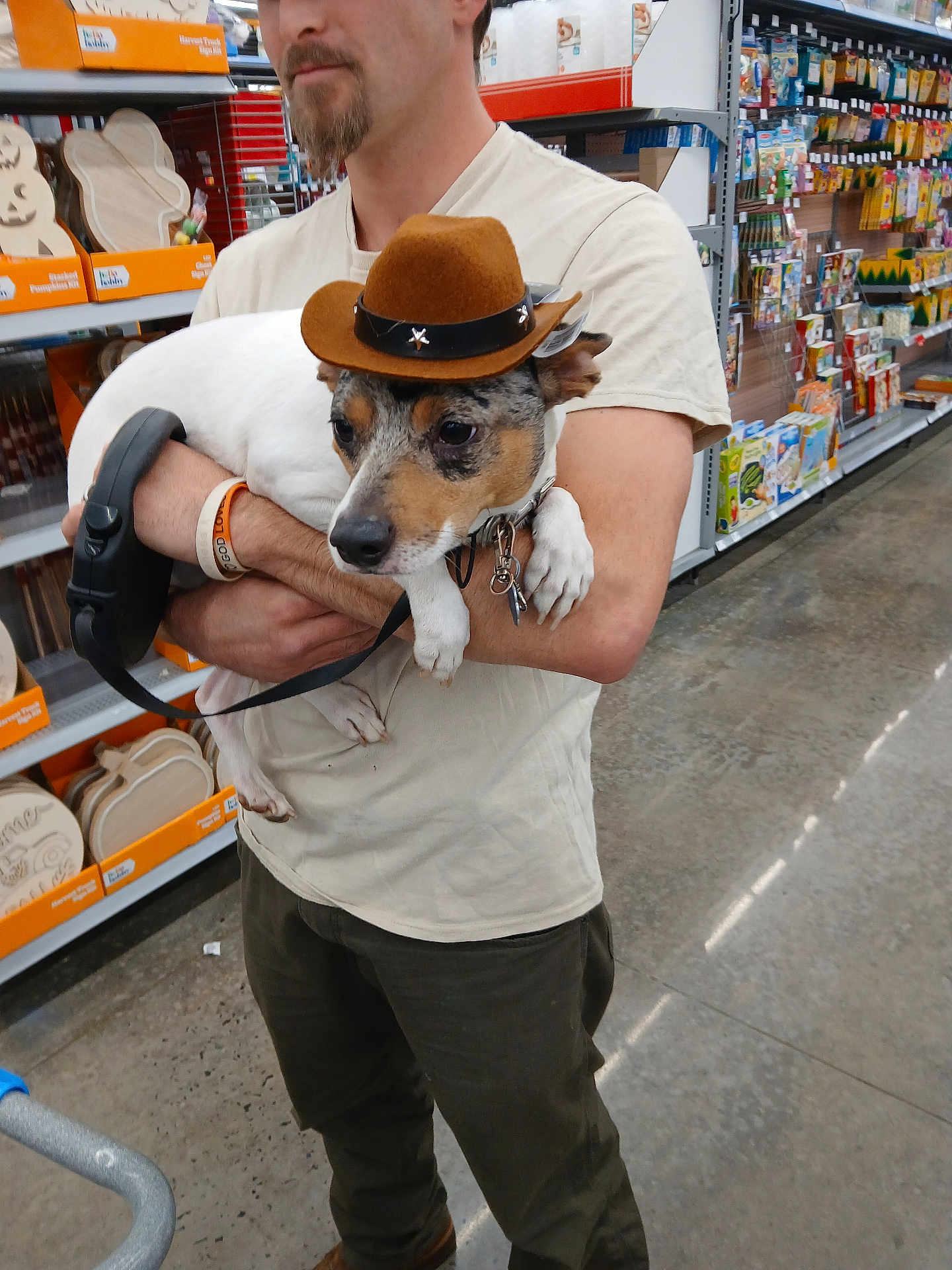 Bandit