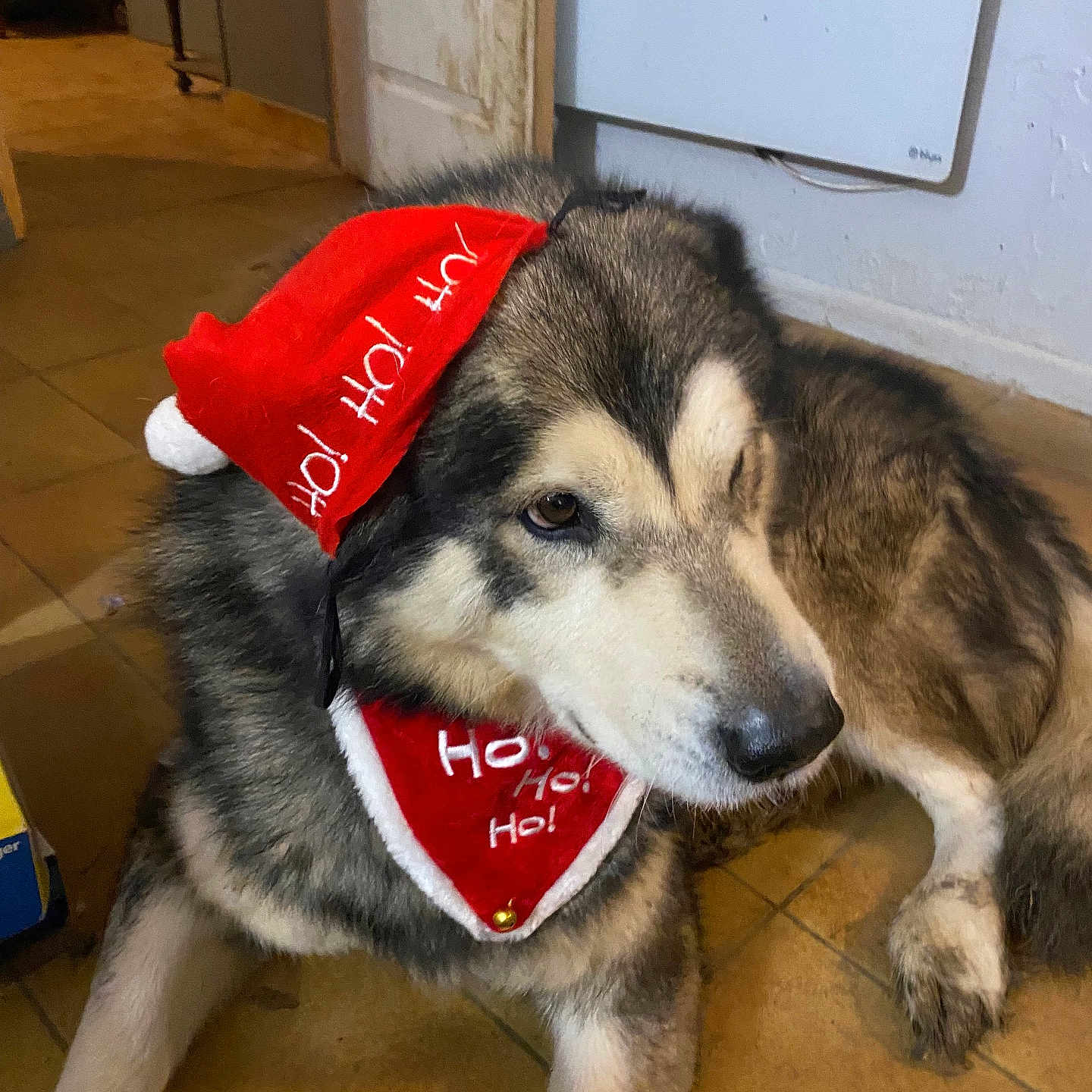 Malko
