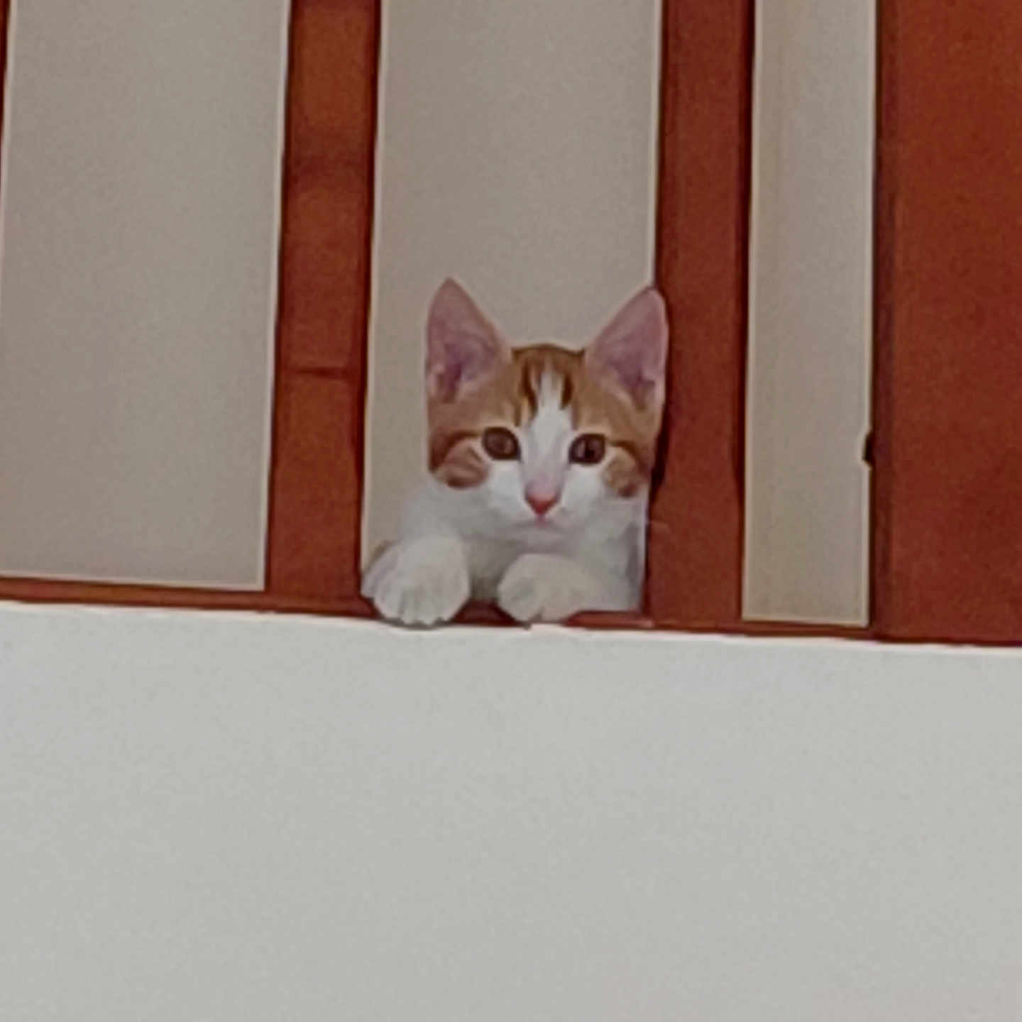 Simba