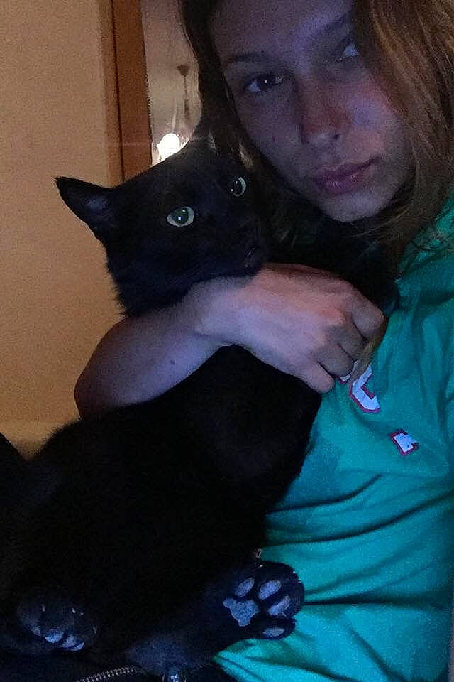 Karamel a rejoint le concours — aidez-le/la à gagner de superbes lots ! black_hair, blue, carnivore, cat, cool, ear, eyebrow, felidae, gesture, jaw, long_hair, mouth, neck, nose, organ, shoulder, skin, small_to_medium_sized_cats, t_shirt, whiskers