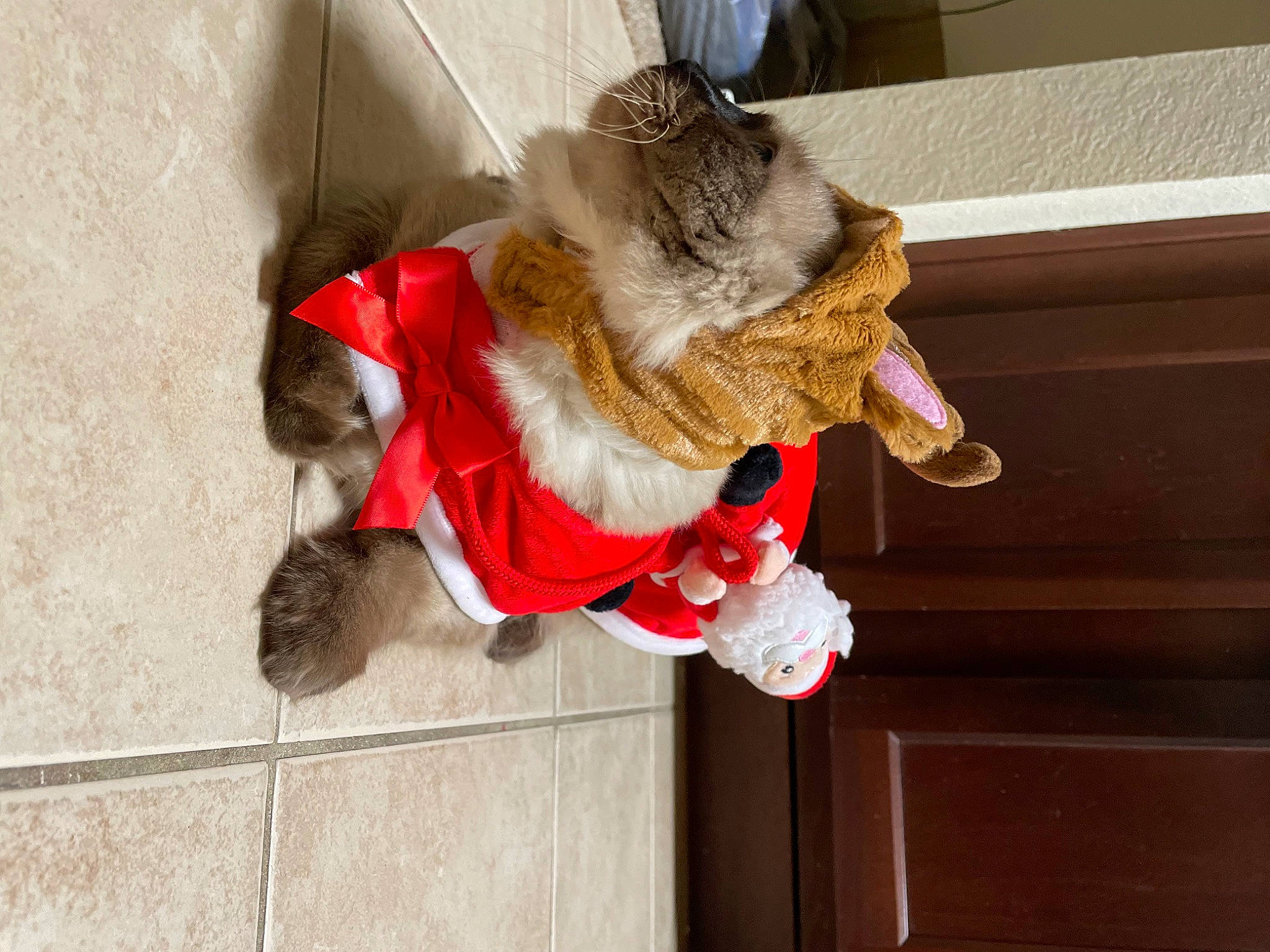 Bagheera joined the competition — help win amazing prizes! canidae, carnivore, companion_dog, dog_breed, dog_clothes, fawn, felidae, fictional_character, fur, fur_clothing, mythical_creature, plush, small_to_medium_sized_cats, snout, sporting_group, stuffed_toy, tail, whiskers, wood, working_animal