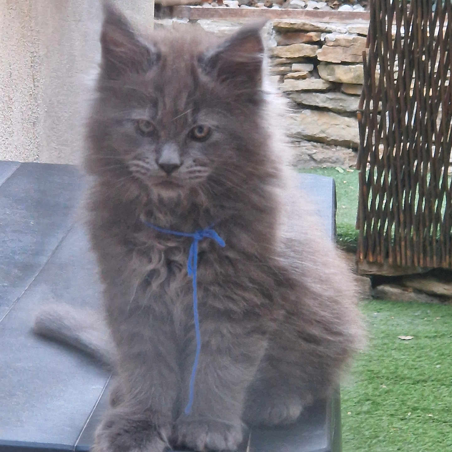 Berlioz