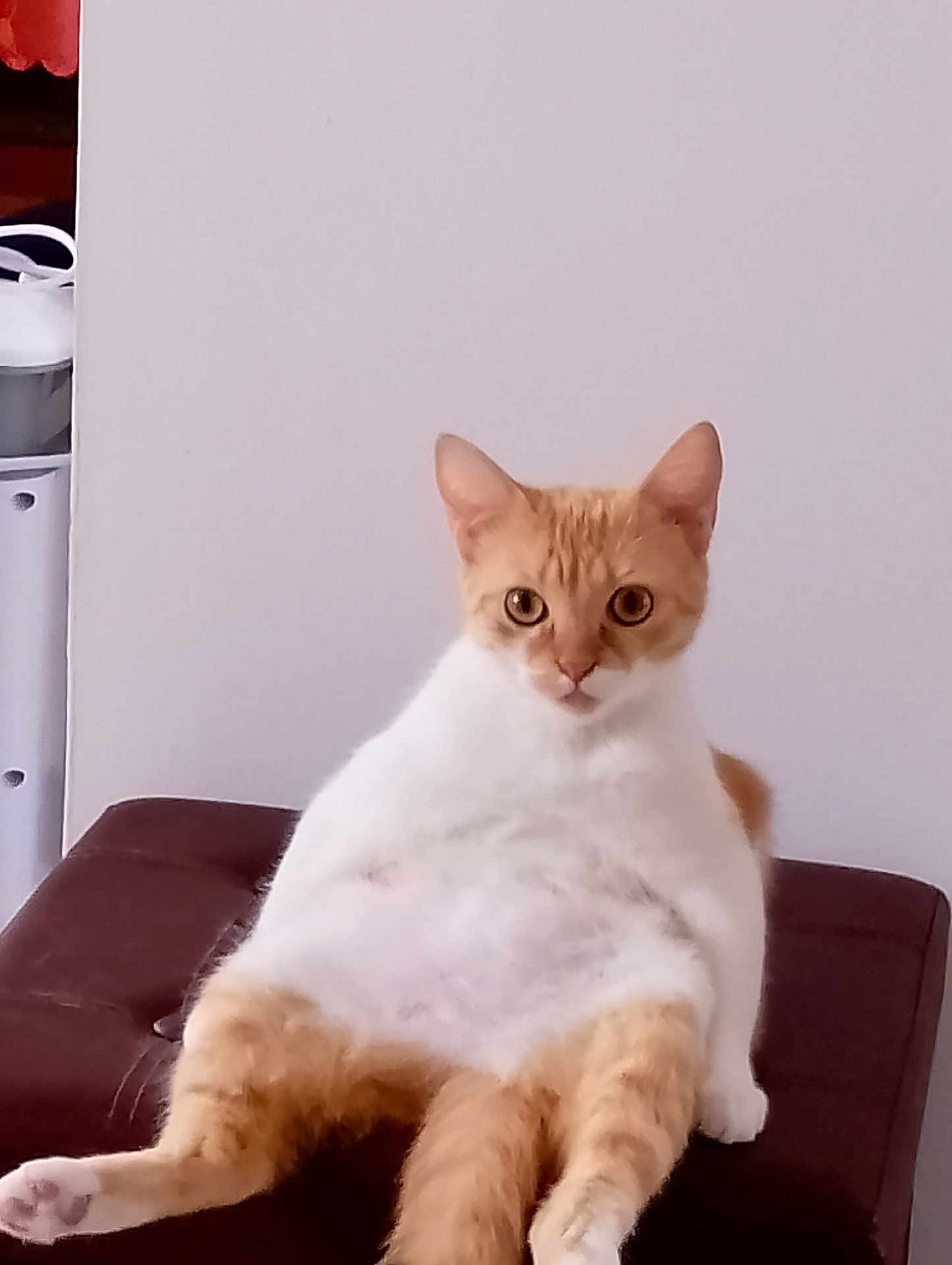 Lili