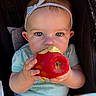 apple, baby, blue, chewing, child, closeup, clothing, cute, eyes, face, food, fruit, hand, headband, infant, natural_light, portrait, seat, skin, stroller