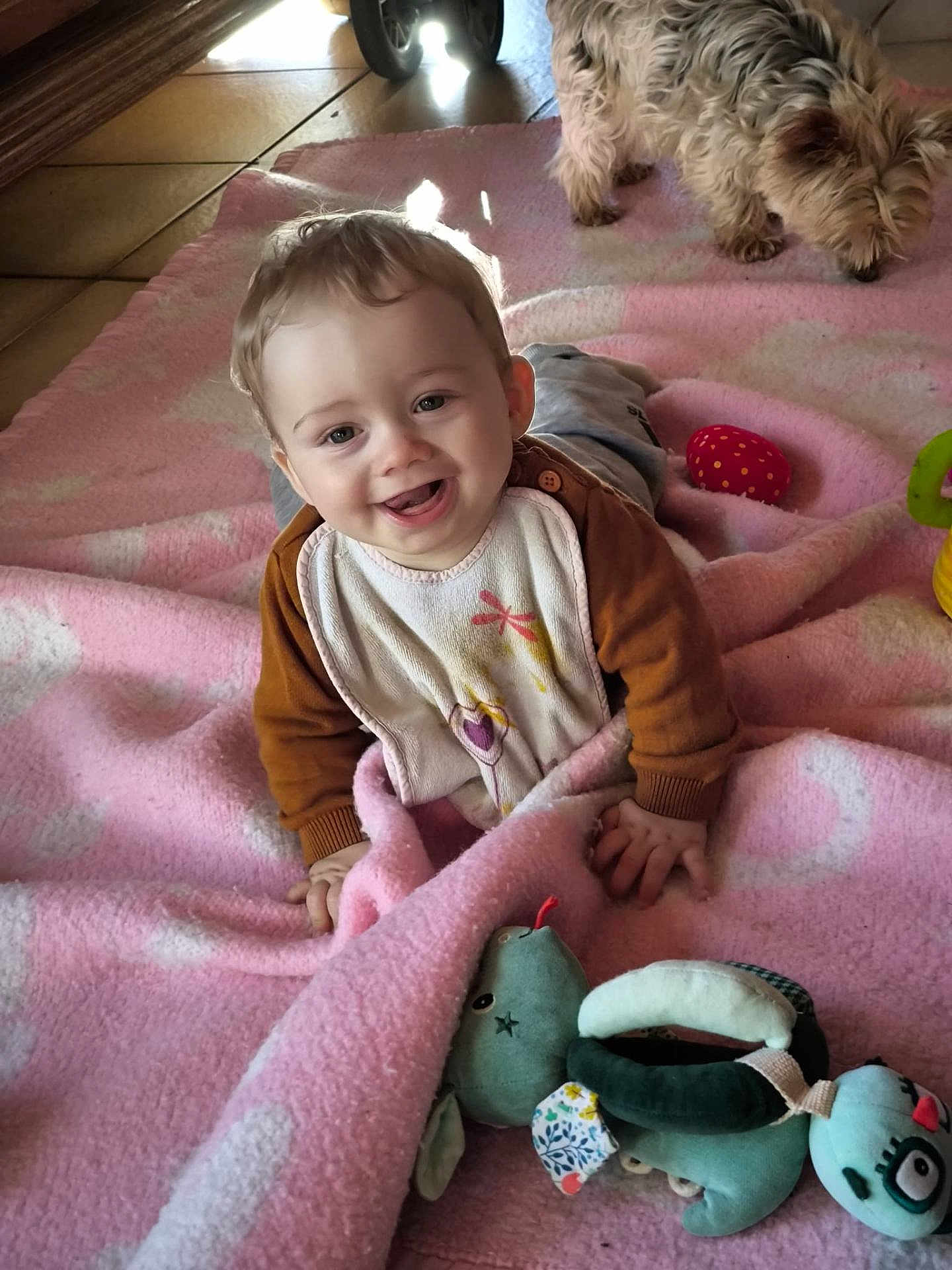 Kayden participe au concours pour gagner de l'argent avec cette photo : baby, child, smiling, pink_blanket, toy, stuffed_animal, dog, indoor, floor, happy, cute, playful, infant, person, pet, tiled_floor, clothing, home, crawling, young