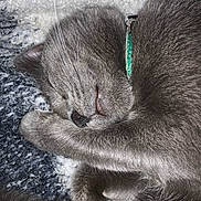 Ellie is registered to the contest to win money with this photo: