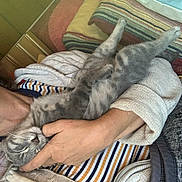 Reily joined the competition — help win amazing prizes!