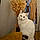Berlioz