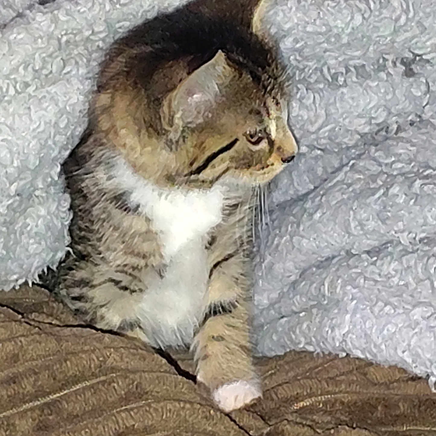 Precious